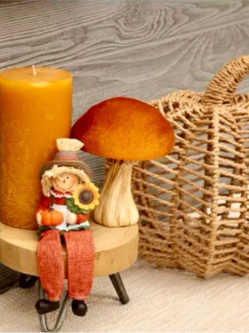 3 velvet top Fall mushrooms